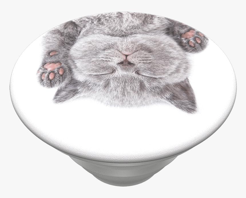 Transparent Chinchilla Png - Claire's Popsocket, Png Download