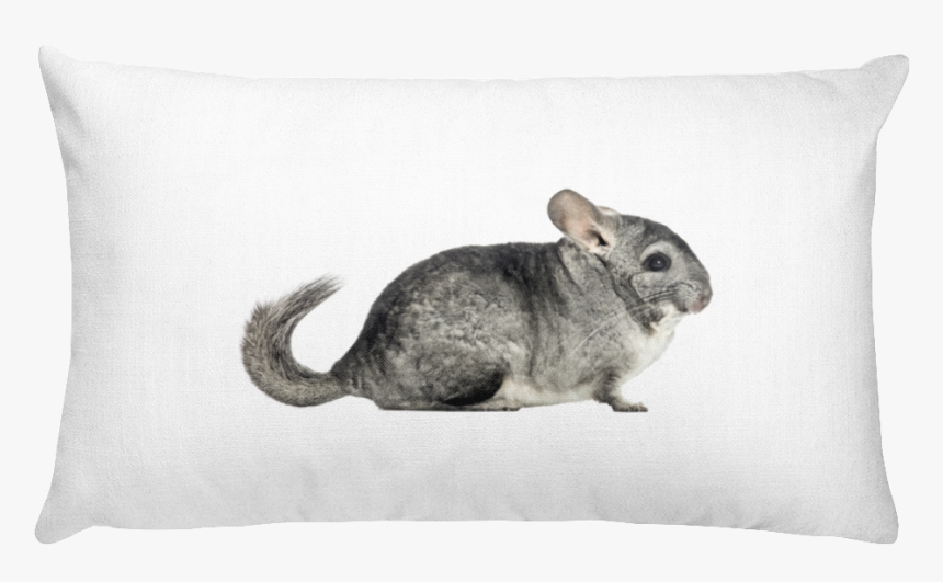 Class Lazyload Lazyload Mirage Cloudzoom Featured Image - White Rectangular Pillow, HD Png Download