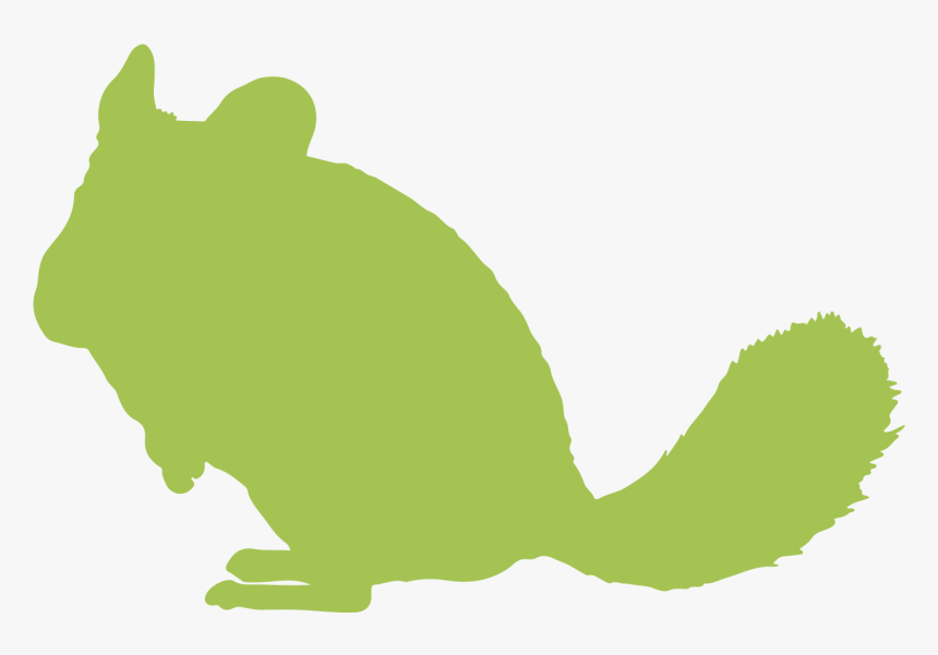 Chinchillas » - Chinchilla Clipart, HD Png Download