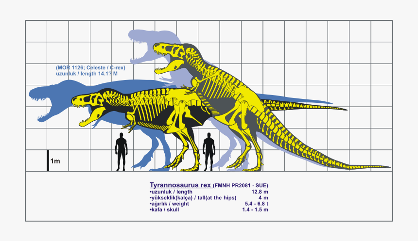 Transparent T Rex Silhouette Png, Png Download
