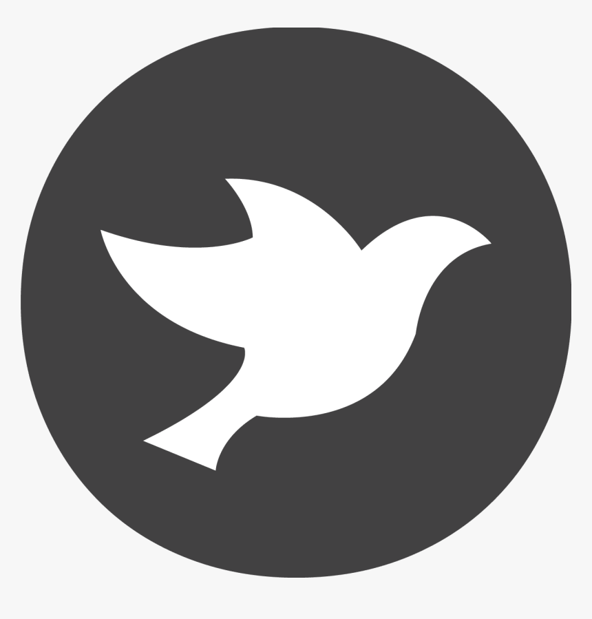 Star Icon, HD Png Download