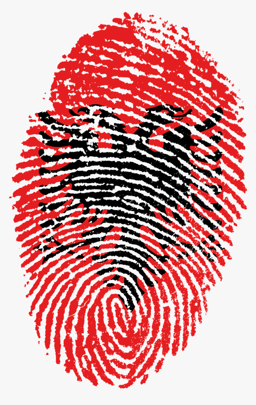 Somalia Flag Fingerprint, HD Png Download