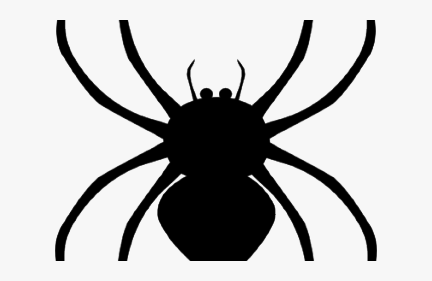Spider Clipart Fall - Spider Clipart Png, Transparent Png