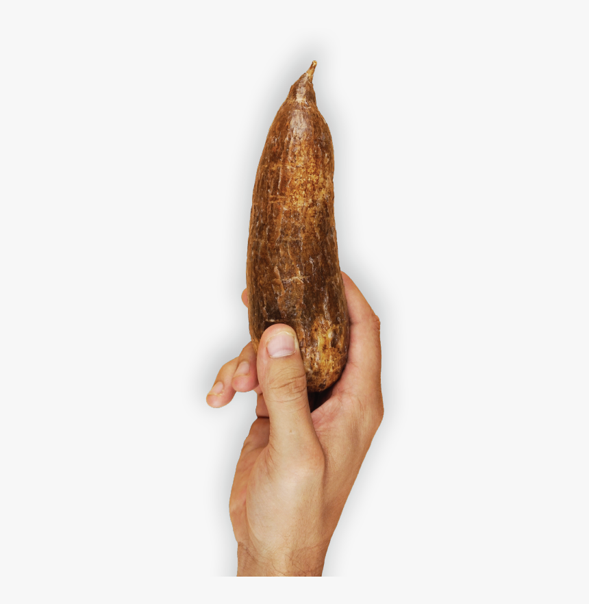 Banana, HD Png Download