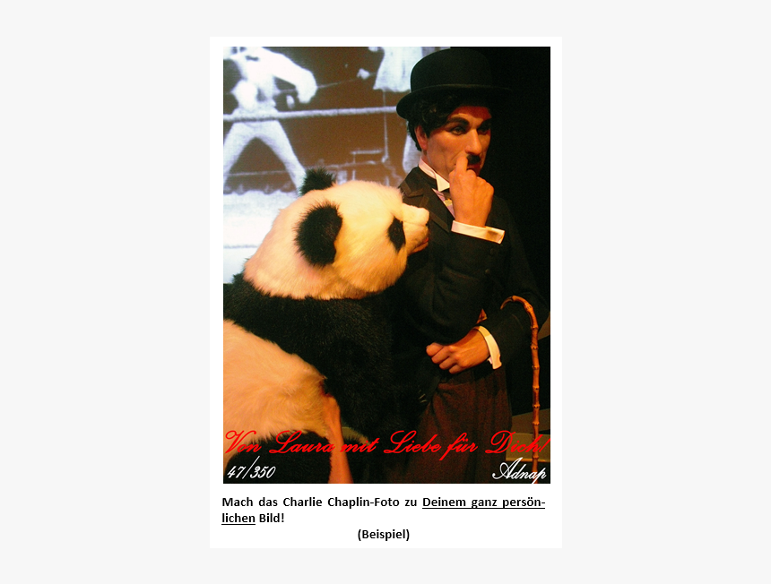 Panda, HD Png Download