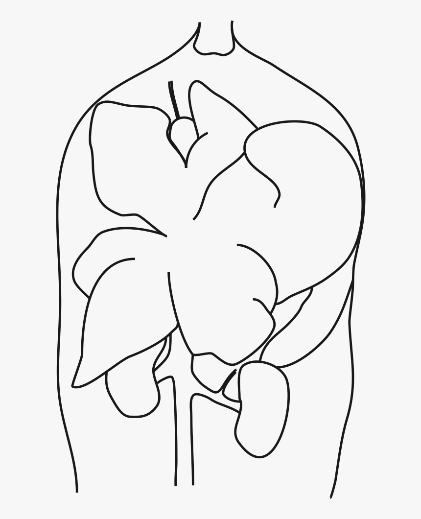 Transparent Black Labels Png - Line Art, Png Download