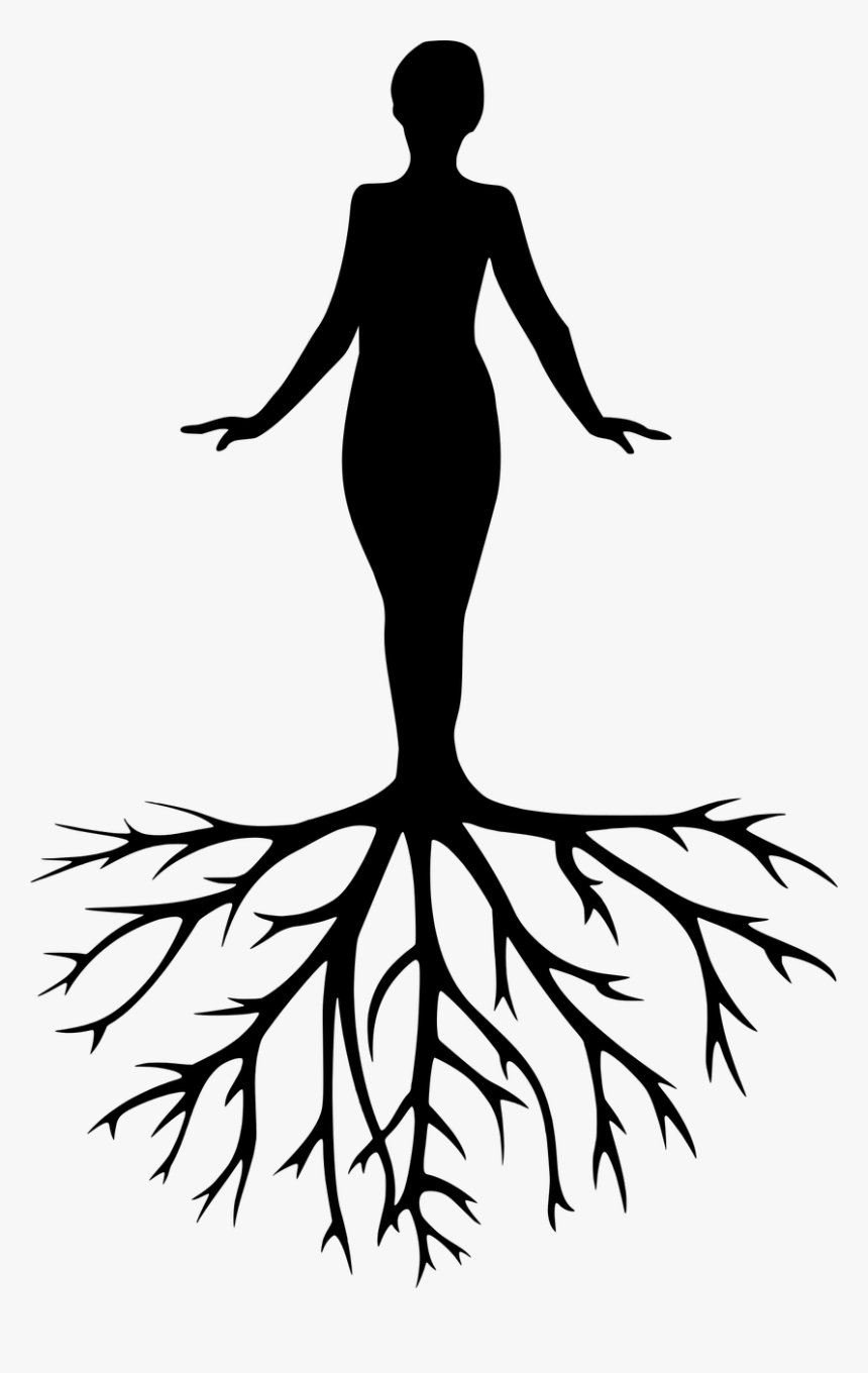 Women Tree Yoga Free Photo - Meditation Silhouette, HD Png Download