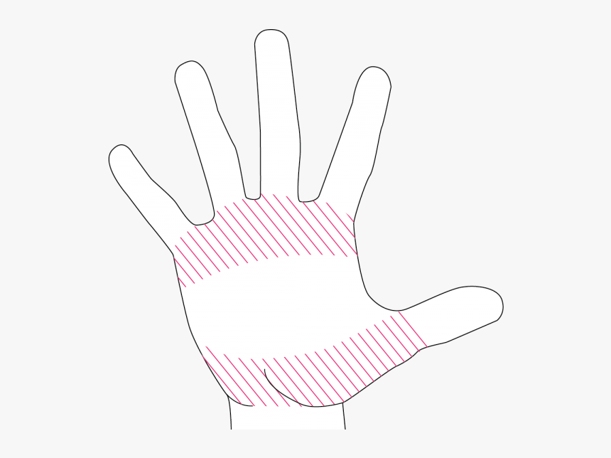 Stare At This For 30 Seconds Then Look At Your Hand, HD Png Download