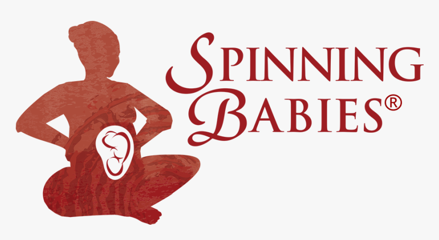 Anchorage Spinning Babies Parent Class - Spinning Babies Logo, HD Png Download