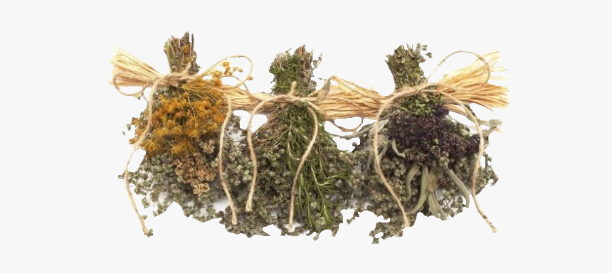 Image - Herbalist Outfits, HD Png Download