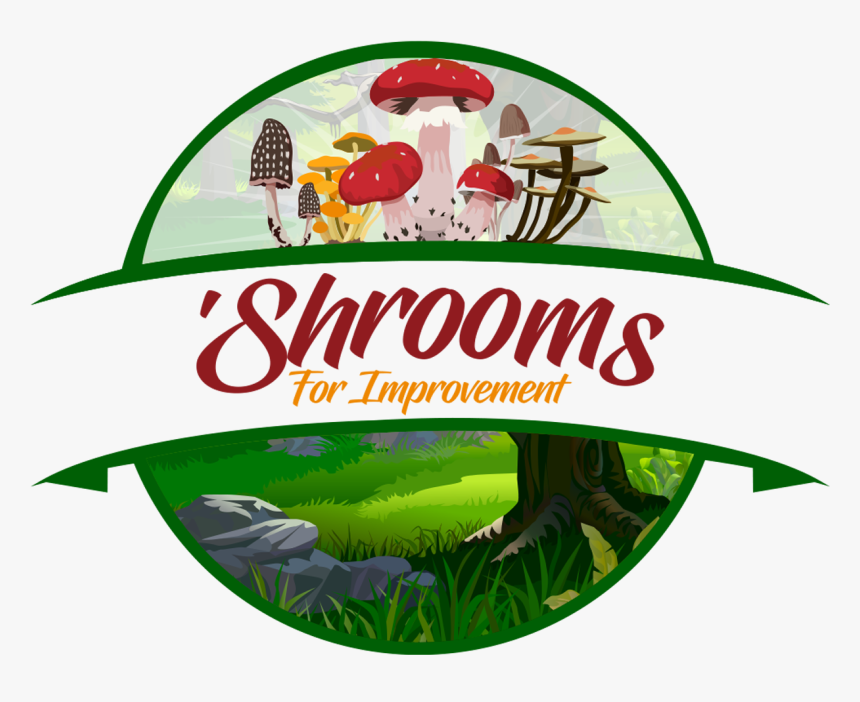 Clip Art, HD Png Download