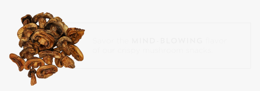 Shiitake, HD Png Download