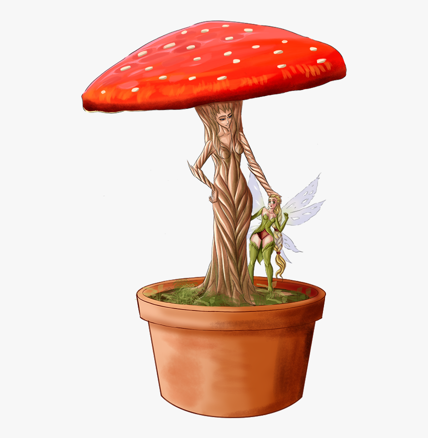 Medicinal Mushroom, HD Png Download