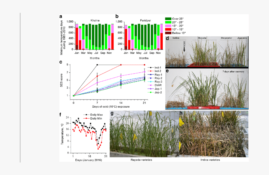 Freshwater Marsh, HD Png Download
