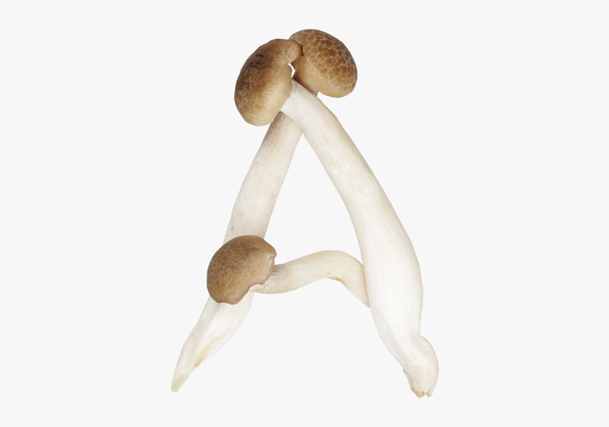 Shimeji Mushroom Font A - Mushrooms Shaped Like Letters, HD Png Download