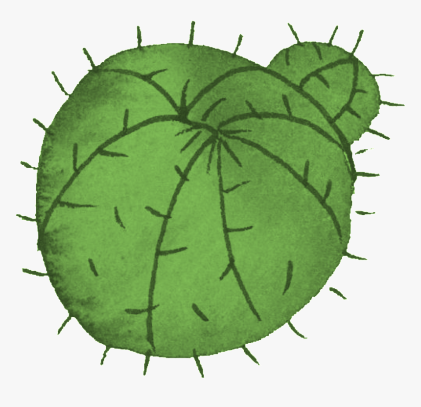 Cartoon Cactus Transparent - Illustration, HD Png Download