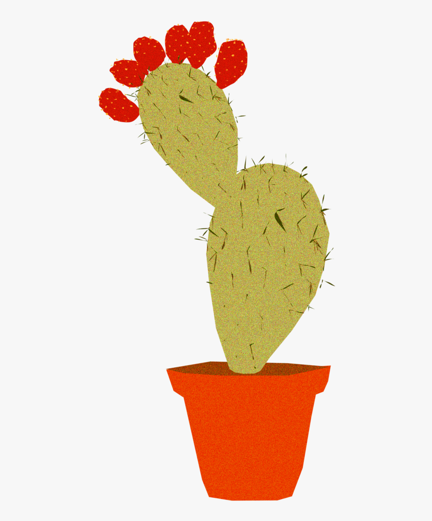 14 Pricklypear 1, HD Png Download