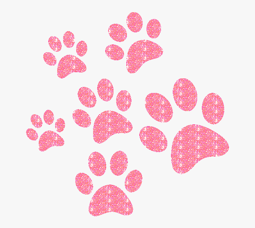 #paws #paw #glitteredit #puppy #pup #mysticker #sticker - National Veterinary Technician Week 2018, HD Png Download