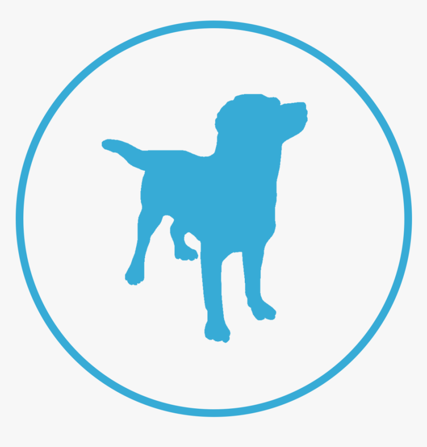 Get A Dog - Silhouette, HD Png Download