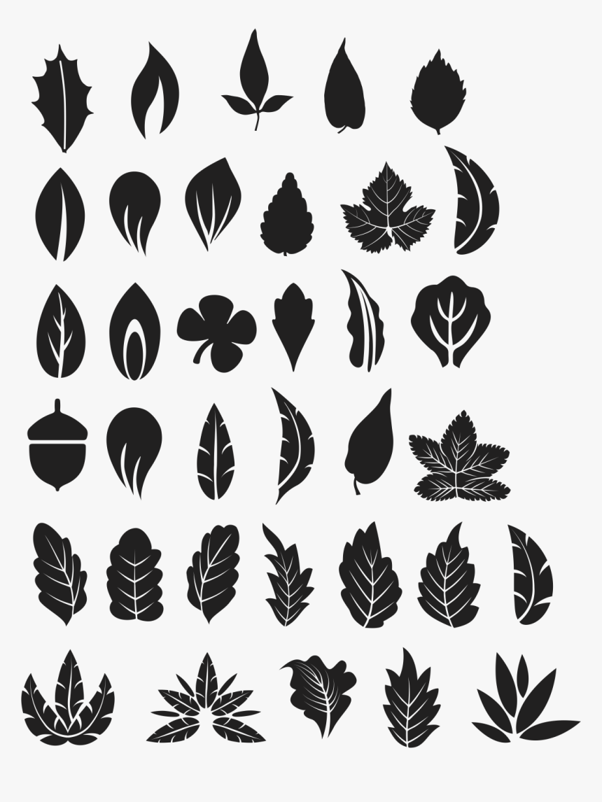 Tree Leaves Vectors Png, Transparent Png