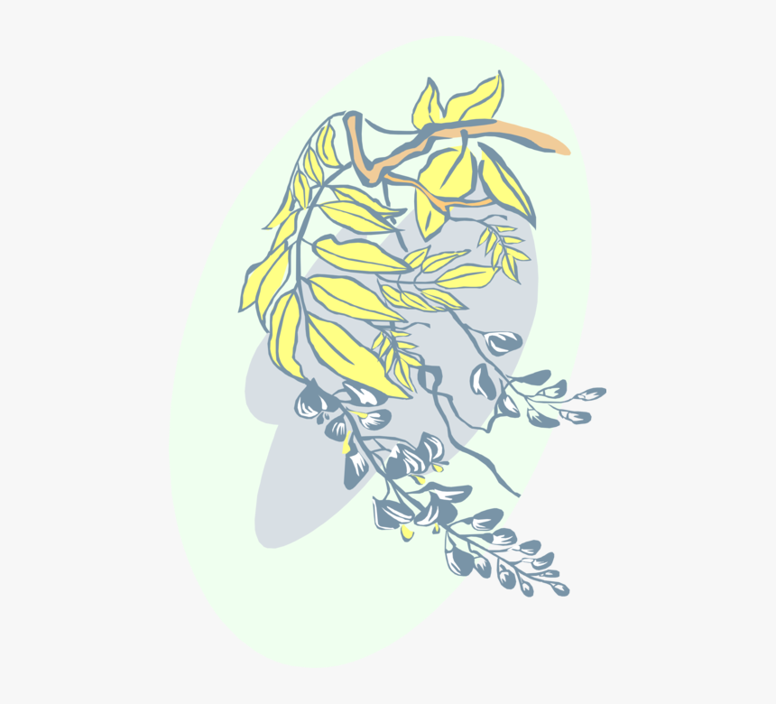 Vector Illustration Of Deciduous Tree Vegetation Leaves - Illustration, HD Png Download