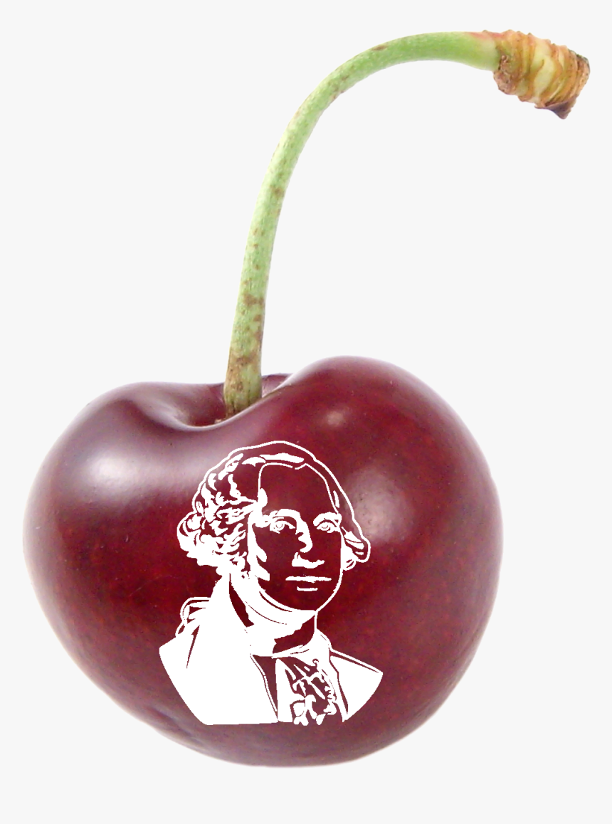 Black Cherry, HD Png Download