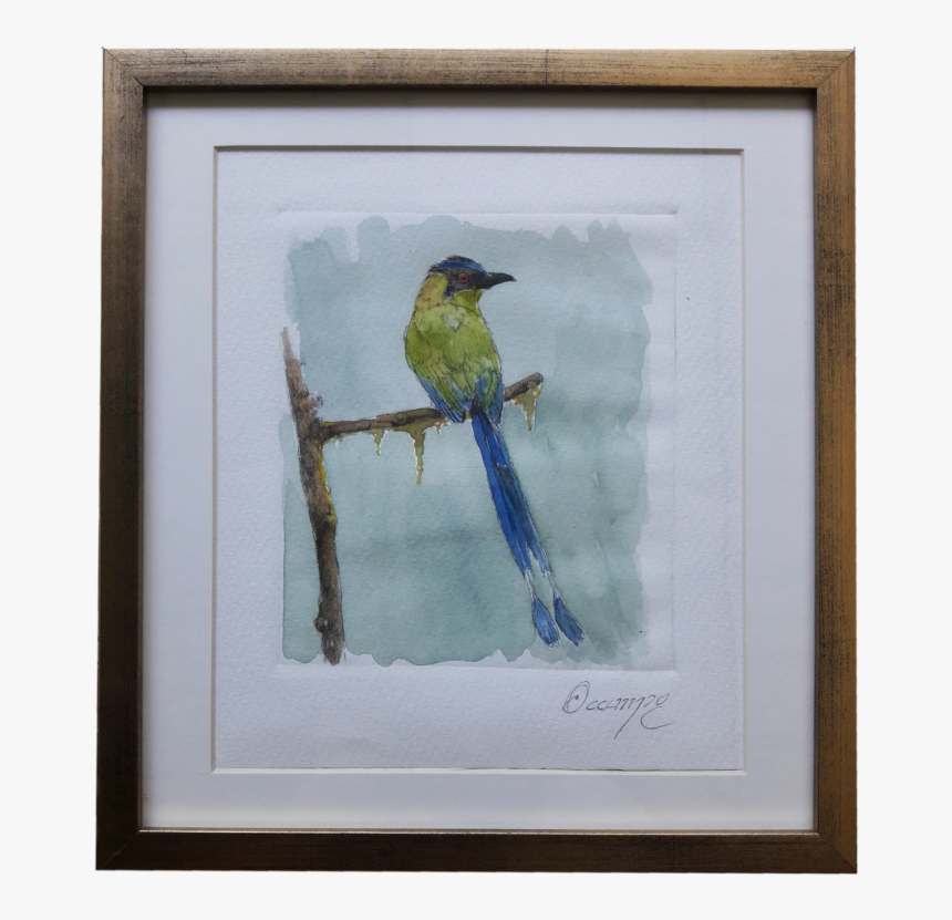 Picture Frame, HD Png Download