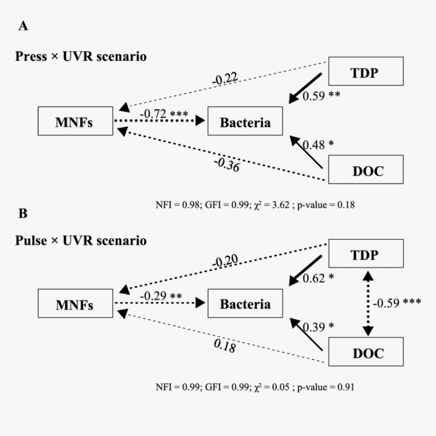 Diagram, HD Png Download