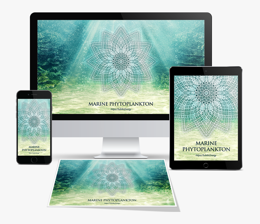 Tablet Computer Clipart , Png Download - Tablet Computer, Transparent Png