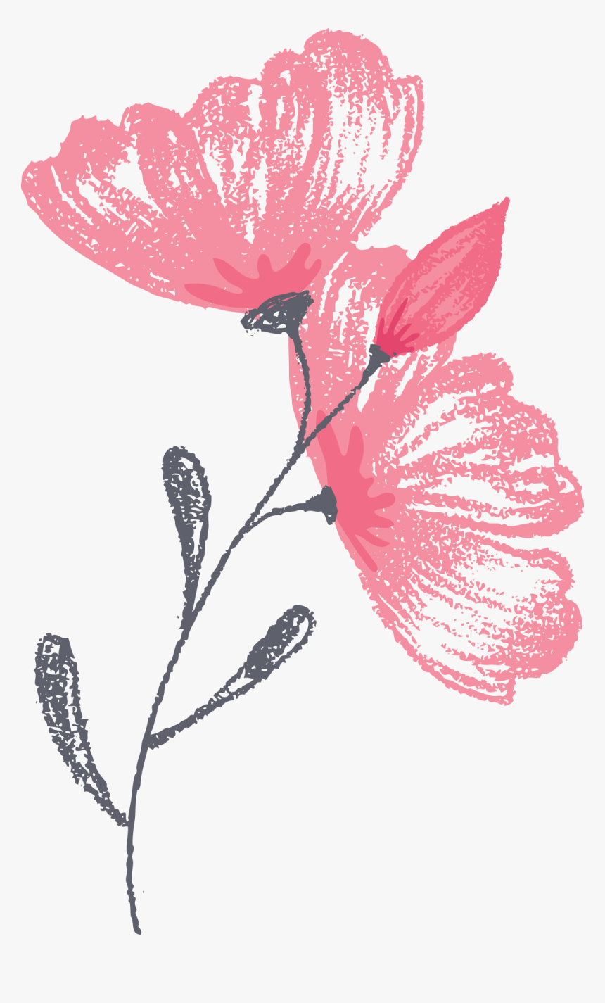Greenwich Photographer Flower Graphic - Illustration, HD Png Download