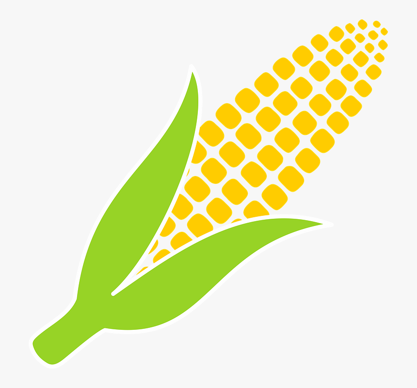 Corn, Yellow, Food, Agriculture, Vegetables, Harvest - Corn Vector Black And White Png, Transparent Png