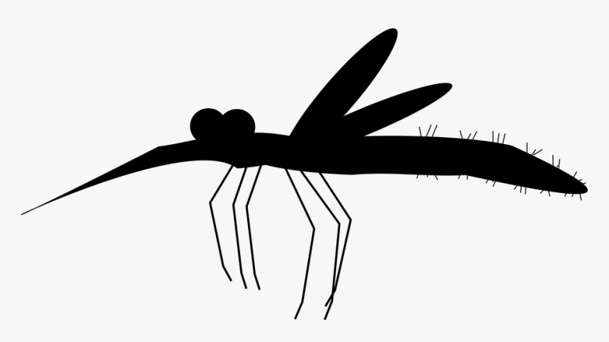 Mosquito, Like, Blood, Bloodsucker, Zika, Malaria - Mosquito, HD Png Download
