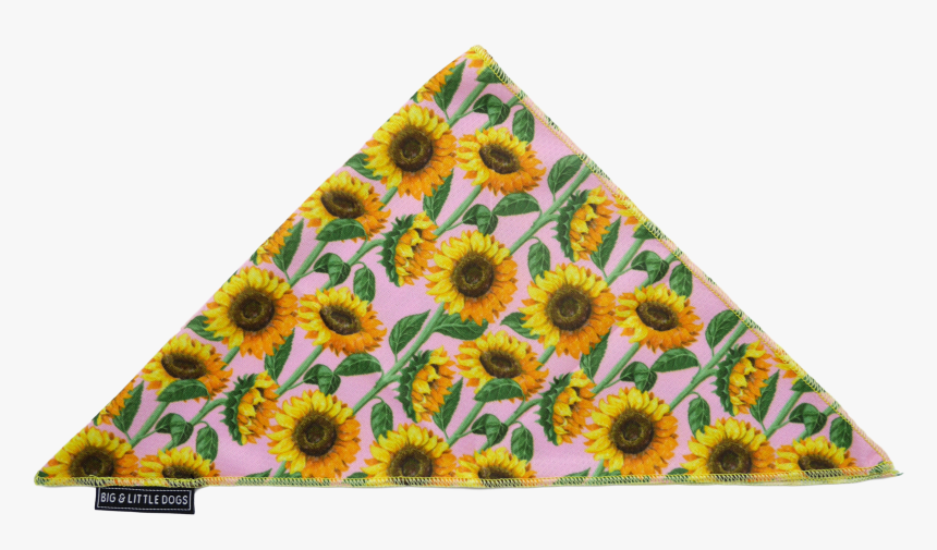 Triangle, HD Png Download