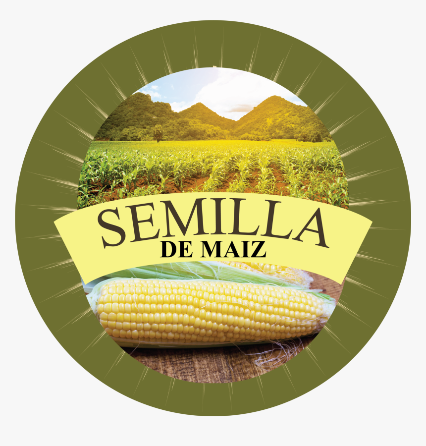 Null - Corn Kernels, HD Png Download