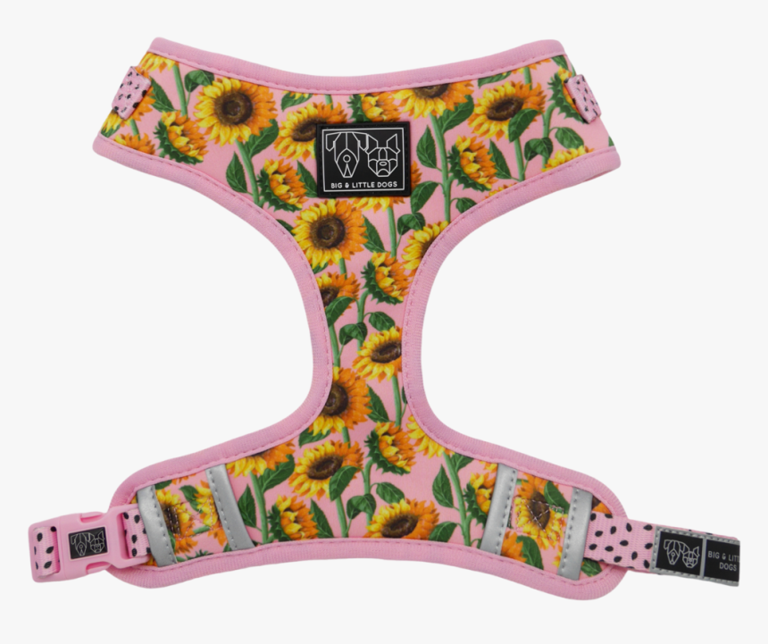 Panties, HD Png Download