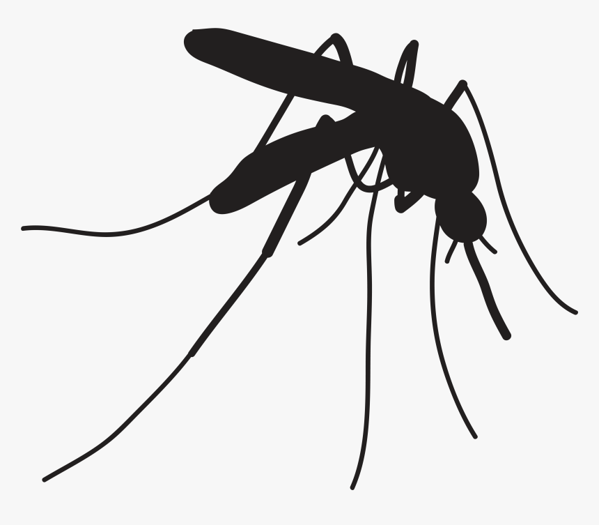 Healthy Adult Participants Needed For Vaccine Study - Keep The Door Closed To Avoid Mosquitoes, HD Png Download