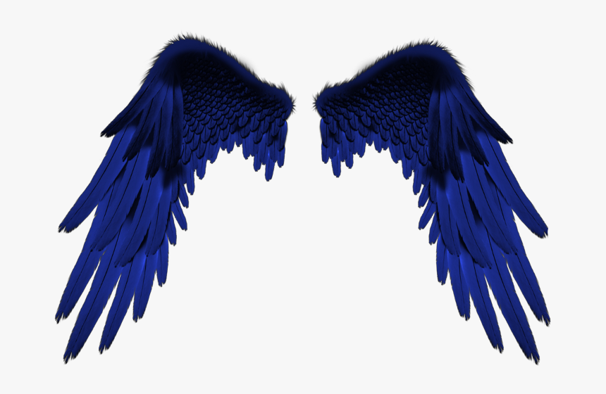 Transparent Vingette Png - Wings Pic For Editing, Png Download