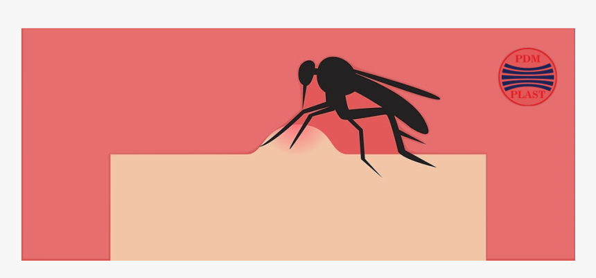 Illustration, HD Png Download