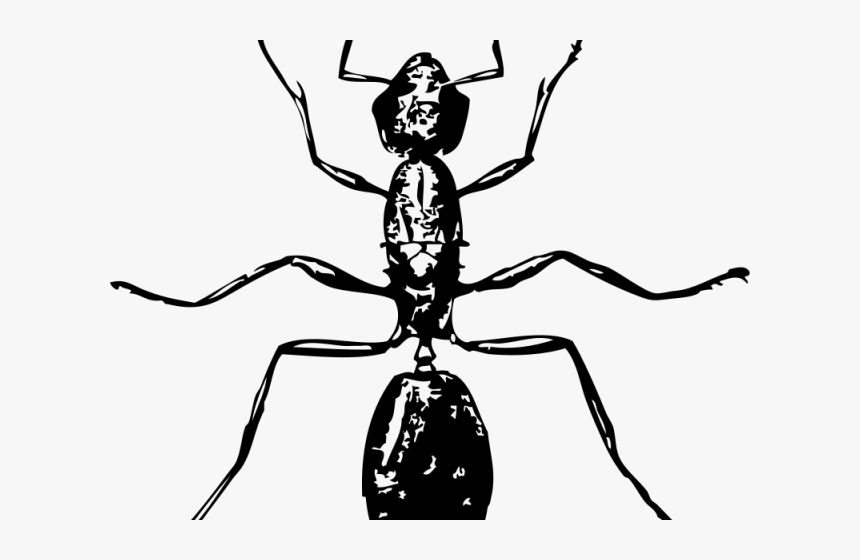 Ant Clipart Carpenter Ant - Ant Clip Art, HD Png Download