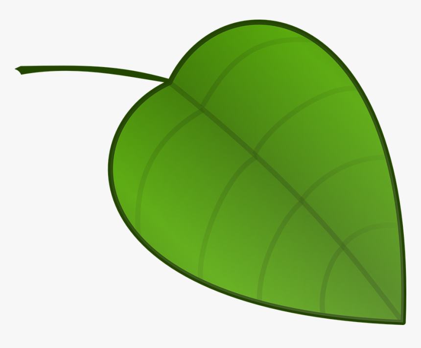Leaf, Nature, Nerves, Veins, Green - Leaf Clipart Small, HD Png Download