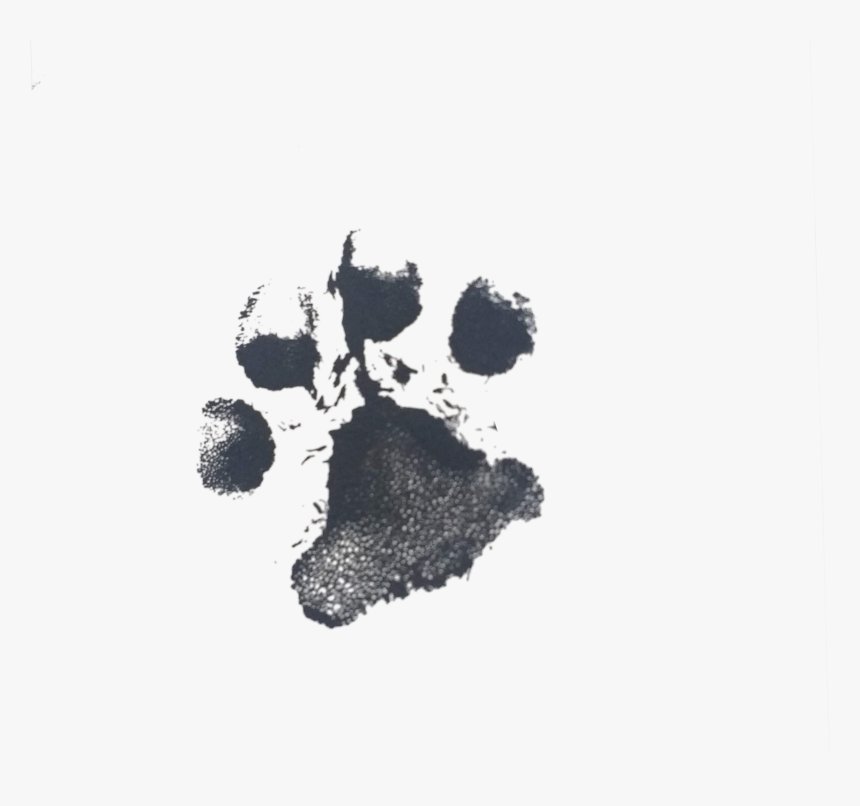 B - Tree, HD Png Download