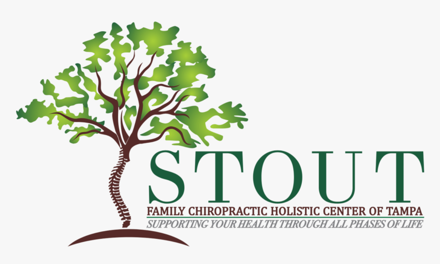 Stout Family Chiropractic Logo, HD Png Download