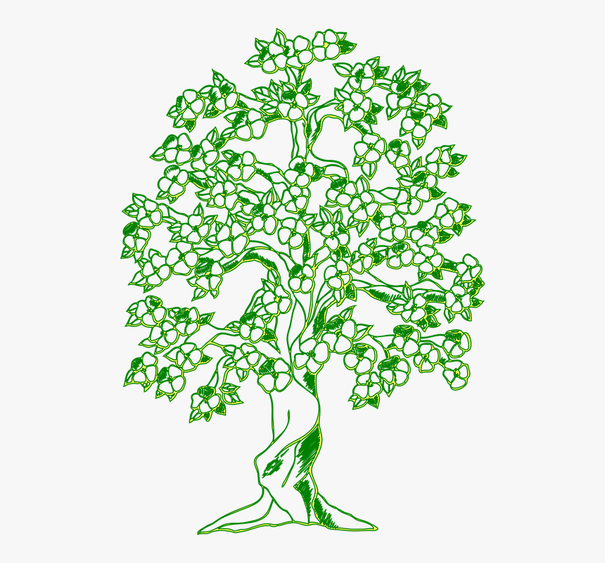 Tree, Forest, Green, Ecology, Eco, Environment - Tree Pictures Drawing Family, HD Png Download