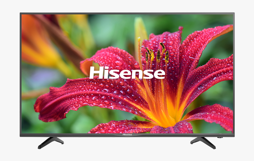 Flowers Scenery, HD Png Download