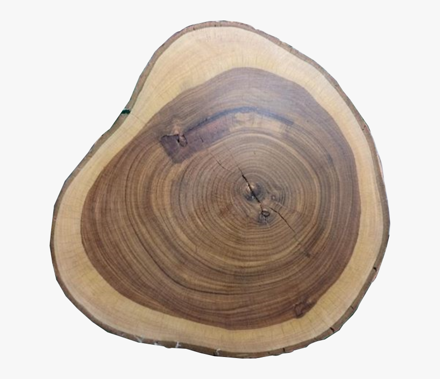 Wenge - Plywood, HD Png Download