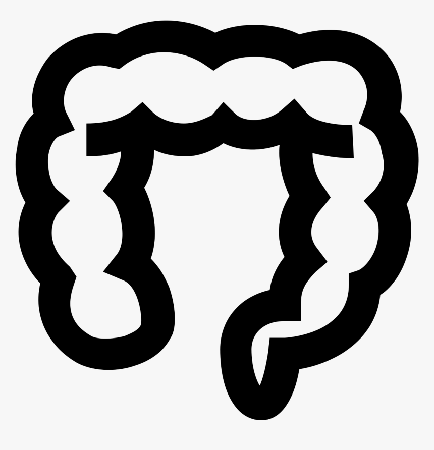 The Image Looks Like A Long Deflated Balloon That Is - Colonicon, HD Png Download