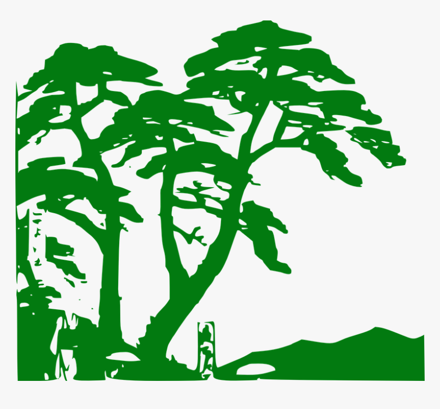 Rainforest Clipart, HD Png Download