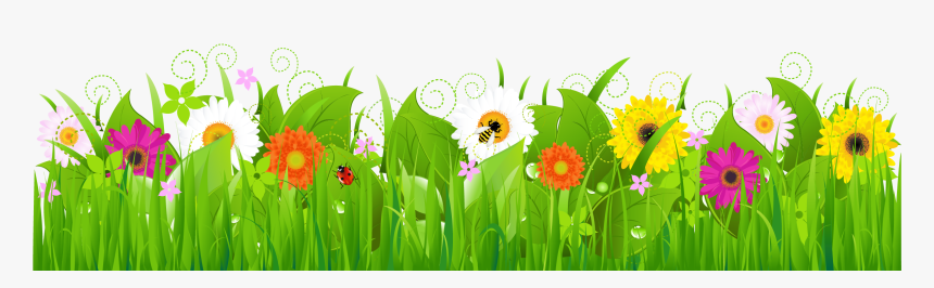 Transparent Jungle Grass Png - Grass With Flowers Clipart, Png Download