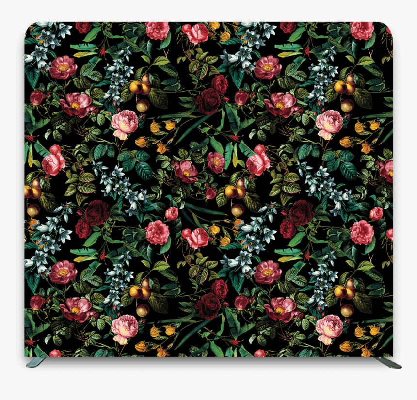 Protea, HD Png Download