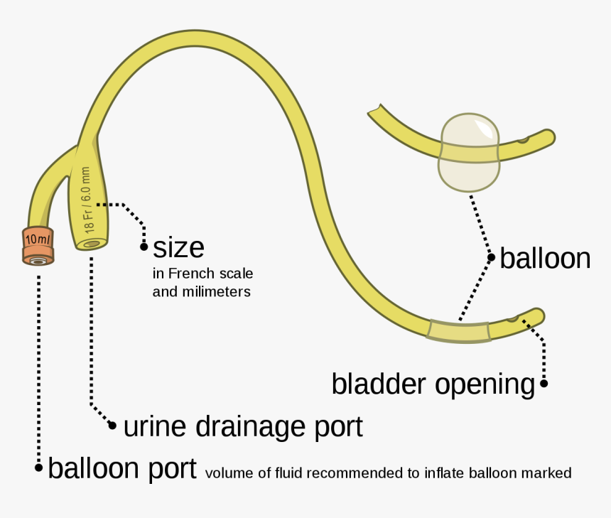 Foley Catheter Two Way, HD Png Download